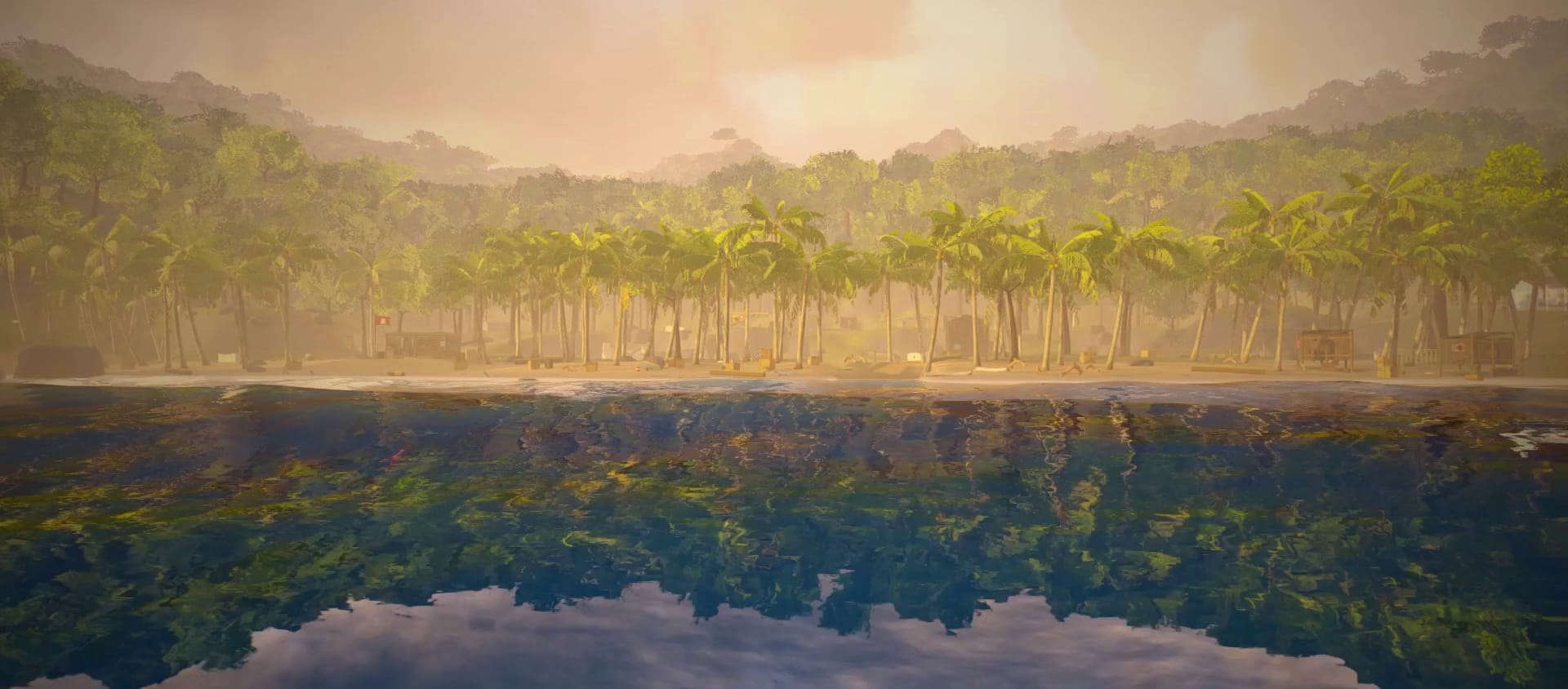 Laguna nella foschia dell’alba con la foresta di palme riflessa nell’acqua